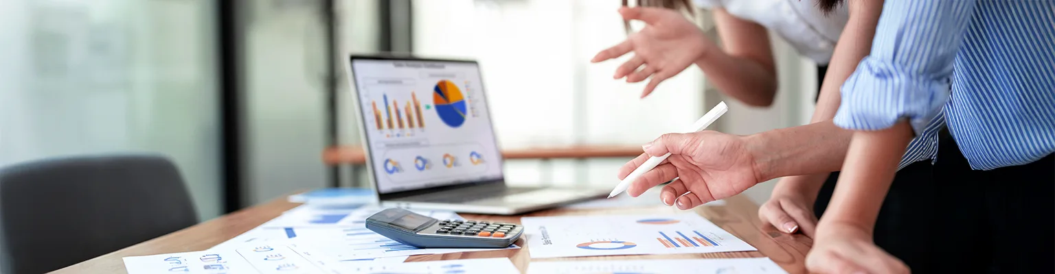Why Does Your Business Need Virtual CFO Services to Boost Profitability img