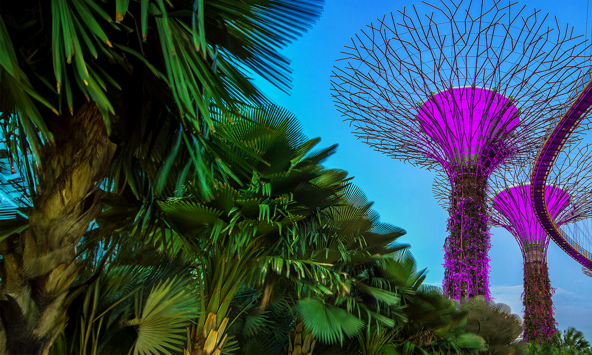 Singapore Introduces New Bill to Attract More Global Investors