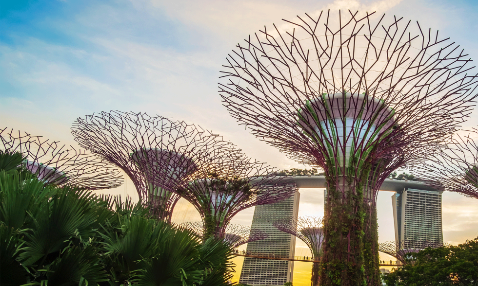 Why Should You Consider Doing Business In Singapore