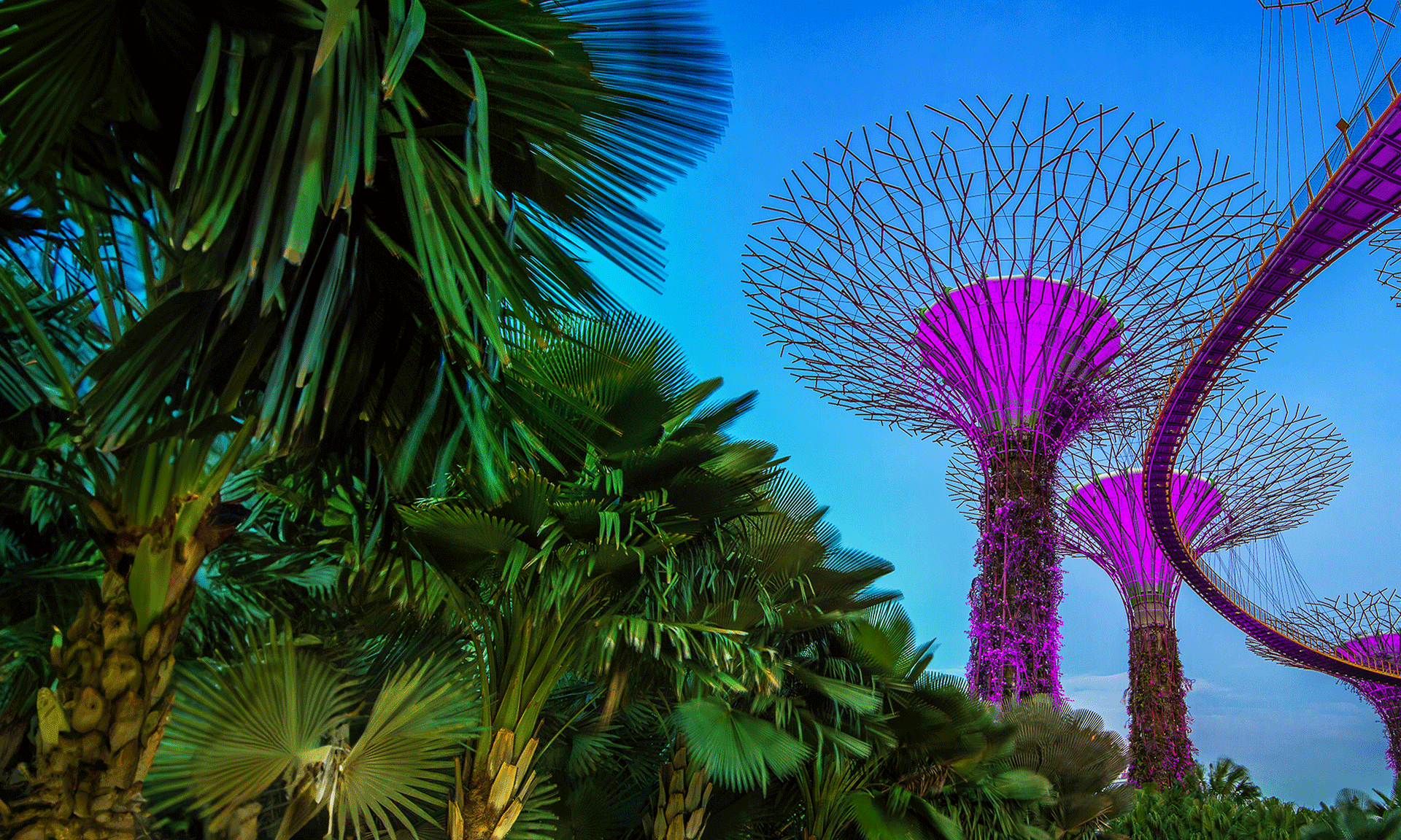 Latest Updates to the Singapore Employment Act