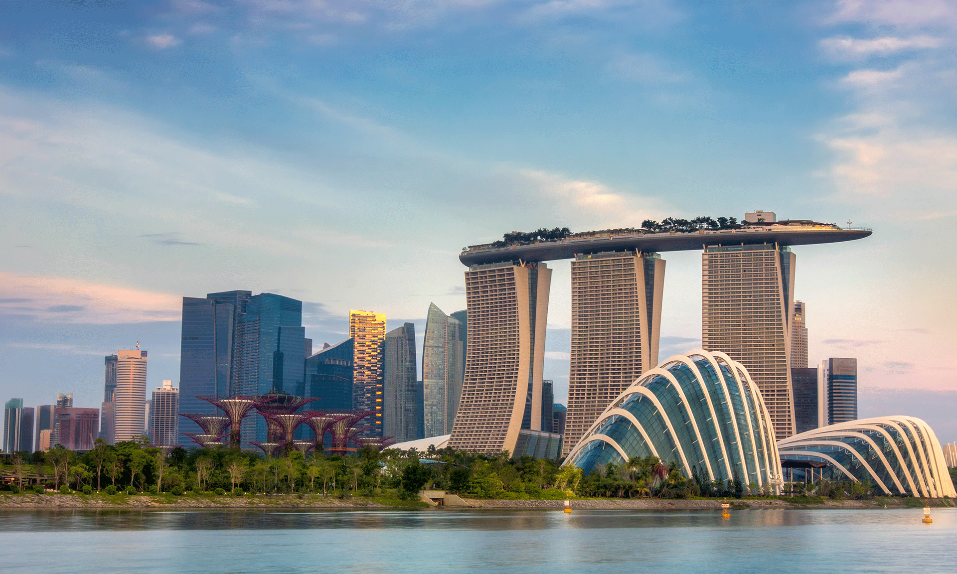 What are the Essentials for Incorporating a Company in Singapore