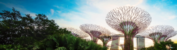 A Comprehensive guide to the Inland Revenue Authority of Singapore (IRAS)