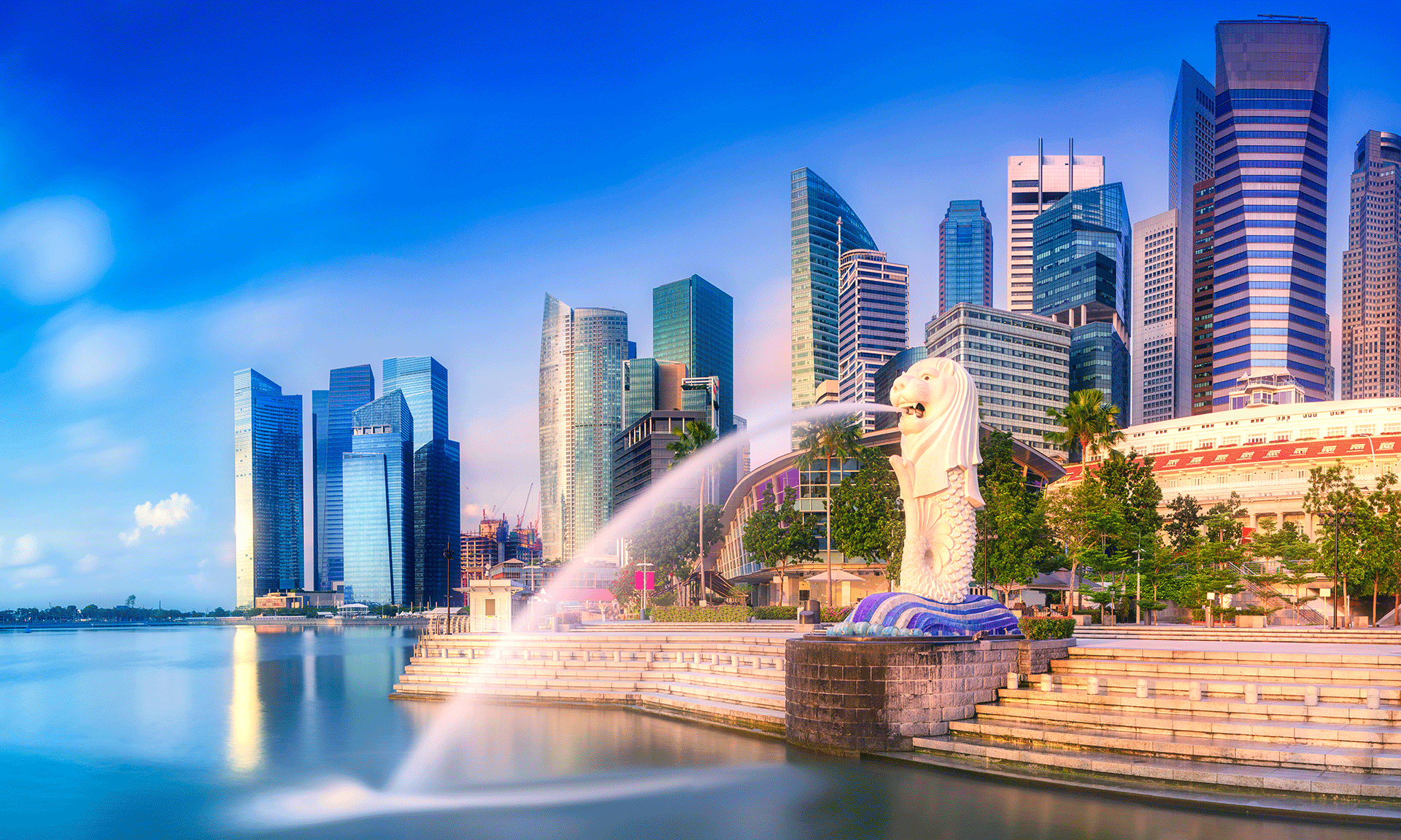The Ultimate Guide to Setting up a Business in Singapore from India