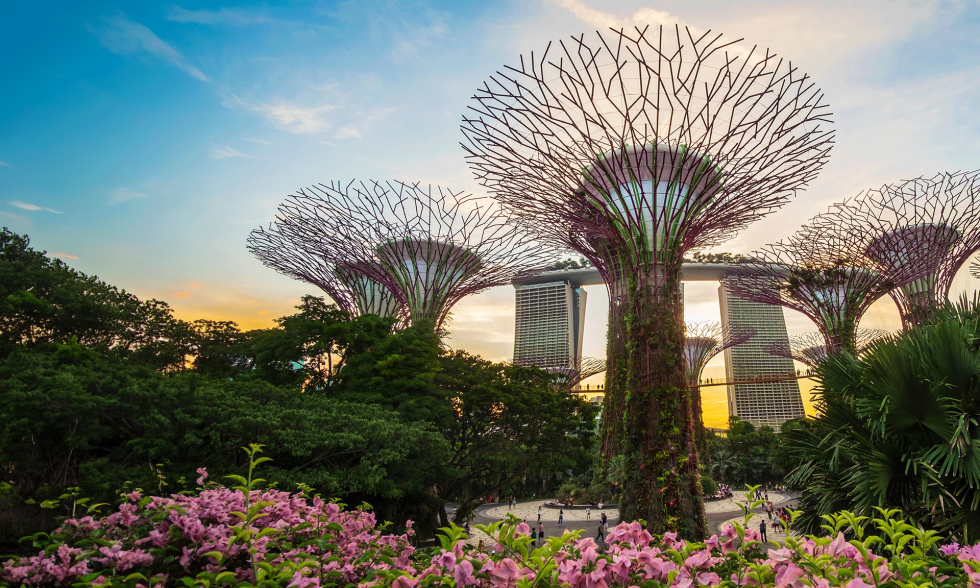 Singapore: The Gateway for the UK Tech Companies in their Expansion into The Asia Pacific