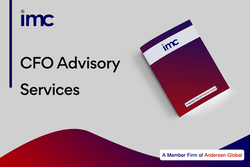 CFO Advisory Services