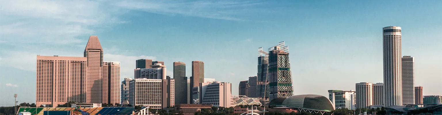Singapore Shareholders Key Guidelines for Businesses