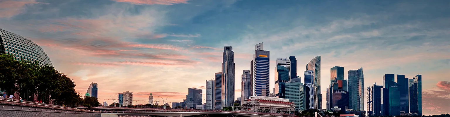 Company Shares and Shareholders Roles and Obligations in Singapore