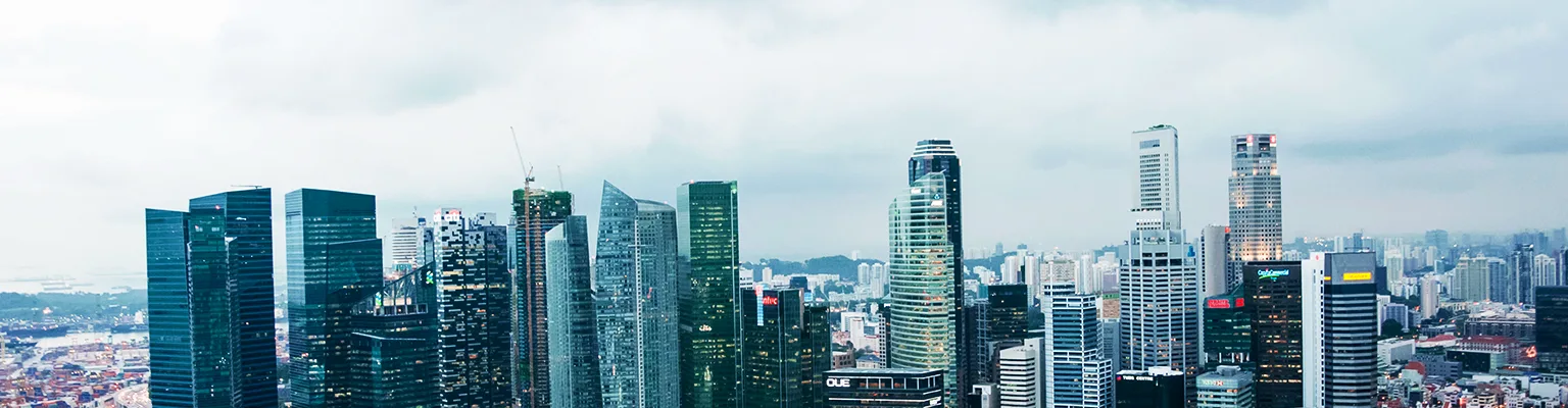 Private Limited vs Shelf Company in Singapore