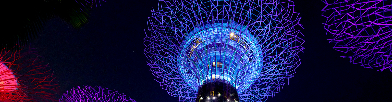 AI technology improving company incorporation workflow in Singapore