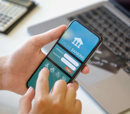 Financial Information User (FIU)